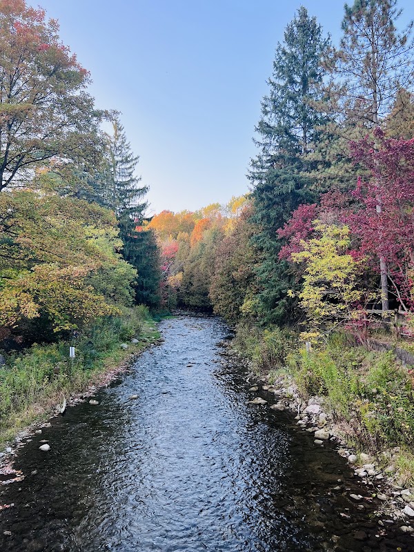 Belfountain Conservation Area 4