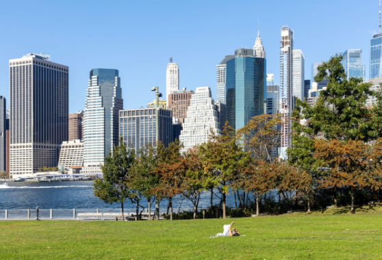 Brooklyn Bridge Park - Pier 1 5