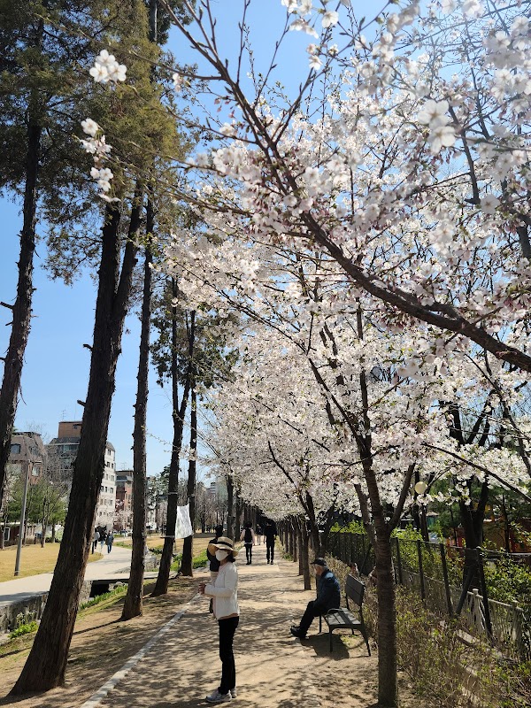 Gyeongui Line Forest Park 3