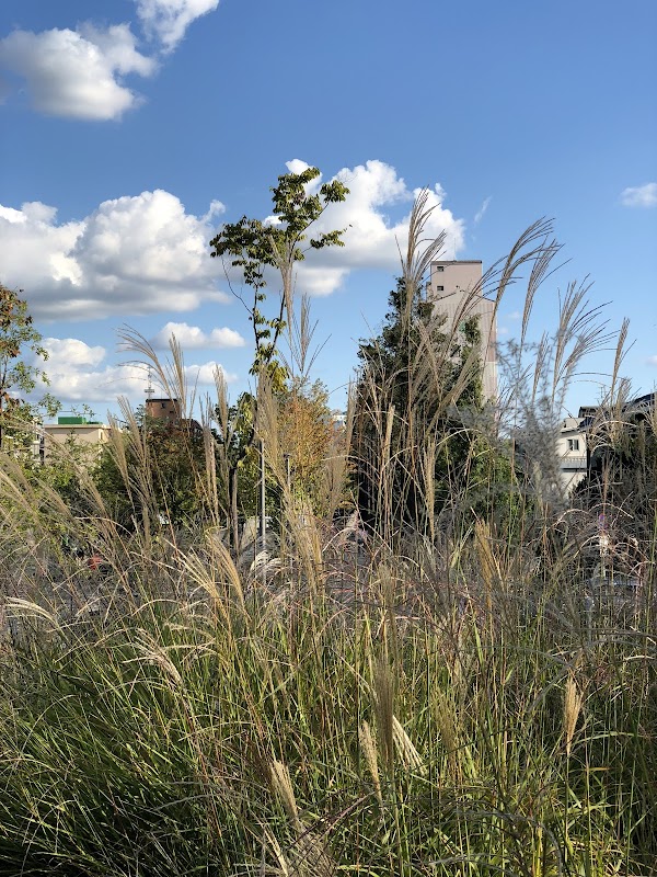 Gyeongui Line Forest Park 2