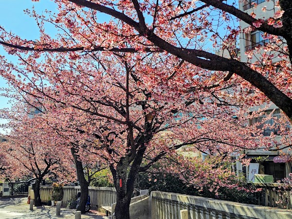 Itogawa Promenade
