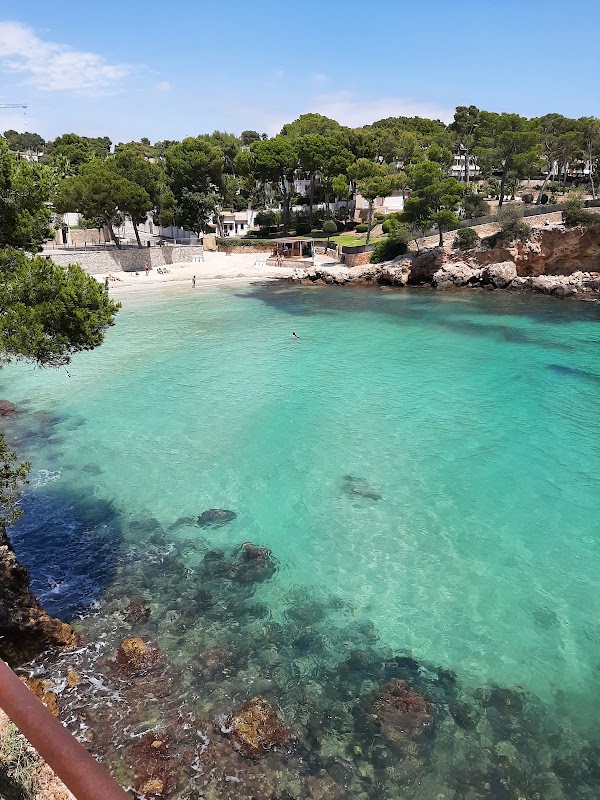 Portals Nous Beach