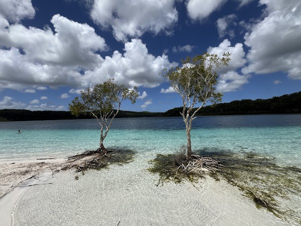 Lake Mckenzie (Boorangoora)