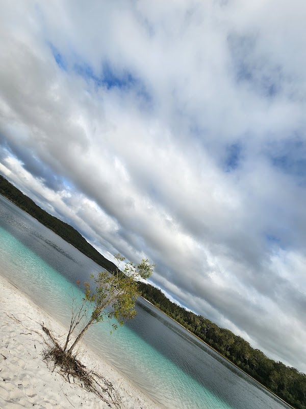 Lake Mckenzie (Boorangoora) 4
