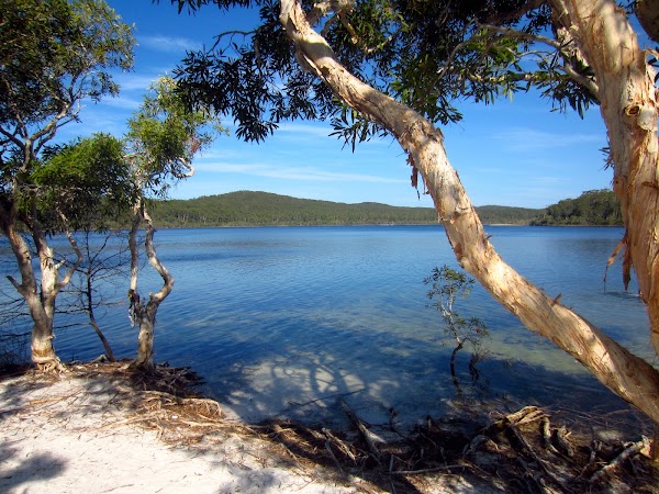 Lake Mckenzie (Boorangoora) 2
