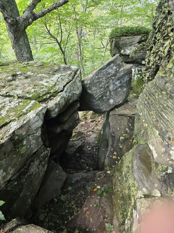 Mink Hollow Trail Head