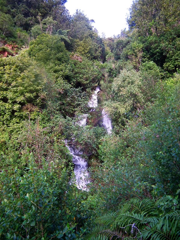 Pipinui Falls 5