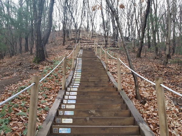 우면산 3