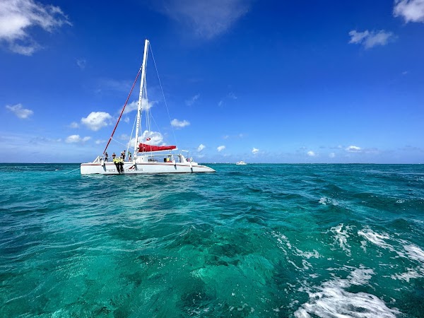 Stingray City Cayman Islands 4