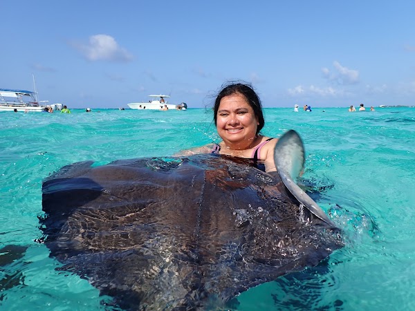 Stingray City Cayman Islands 3