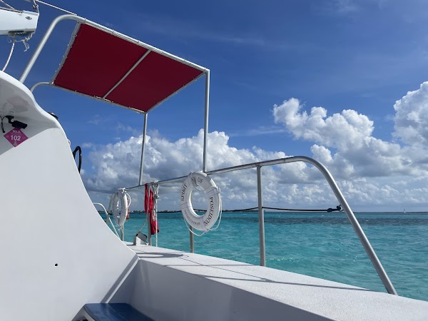 Stingray City Cayman Islands 2