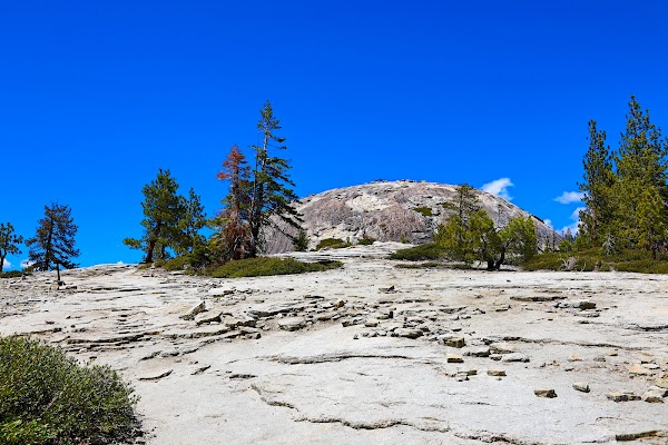 Sentinel Dome 1