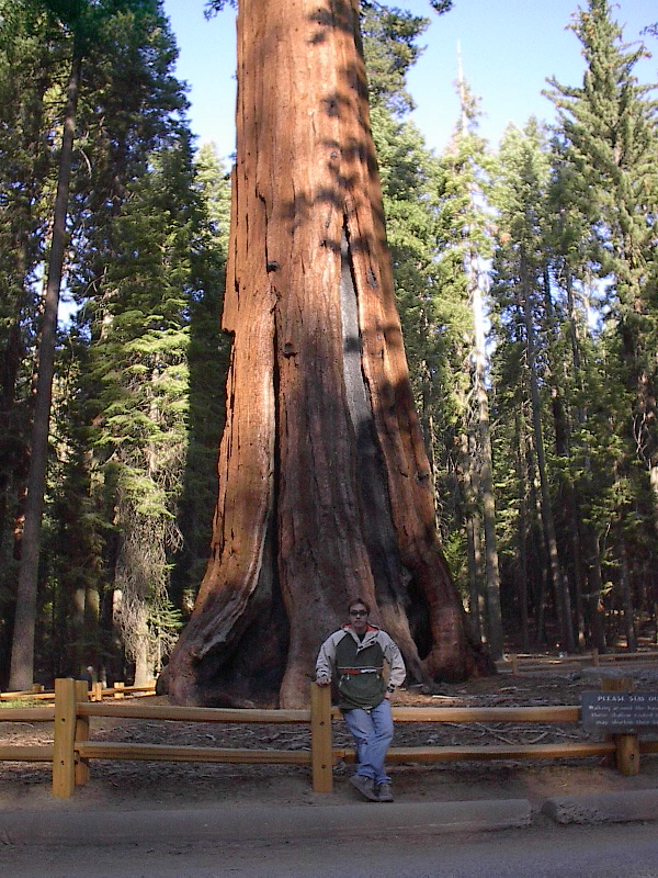 Sentinel Dome 3