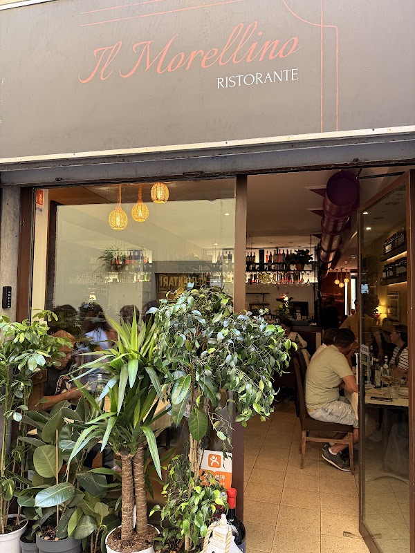 Ristorante Il Morellino 2