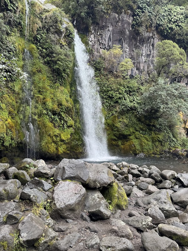 Dawson Falls Visitors Centre 4