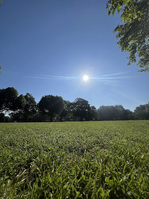 London Fields 5