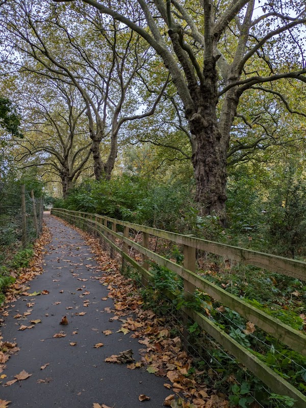 London Fields 3