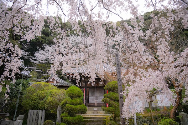 Ji Fukuji