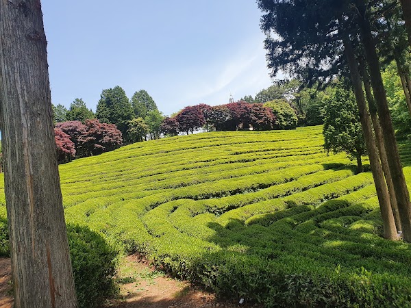 Boseong-gun