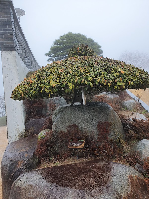 Boseong-gun 3