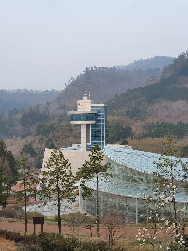 Boseong-gun 2
