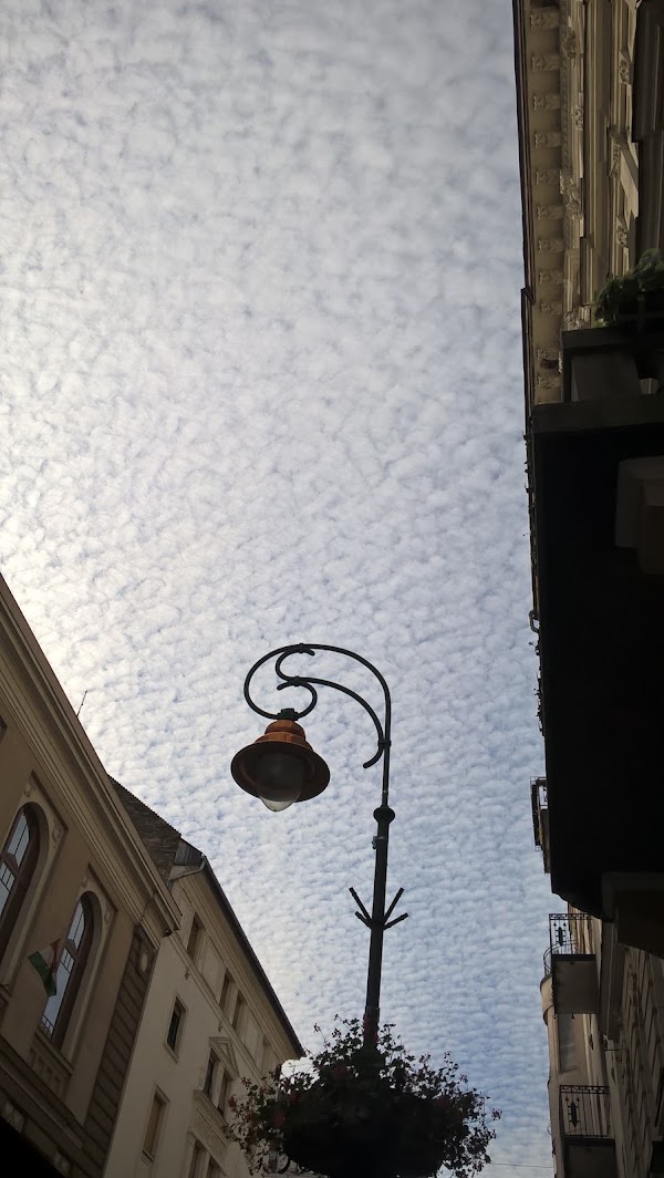 Ráday utca 3