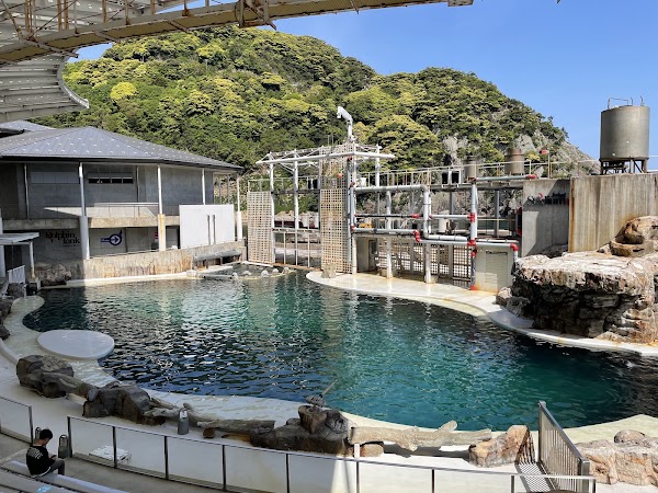 Kinosaki Marine World 5
