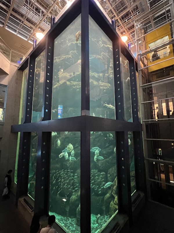 Kinosaki Marine World 4