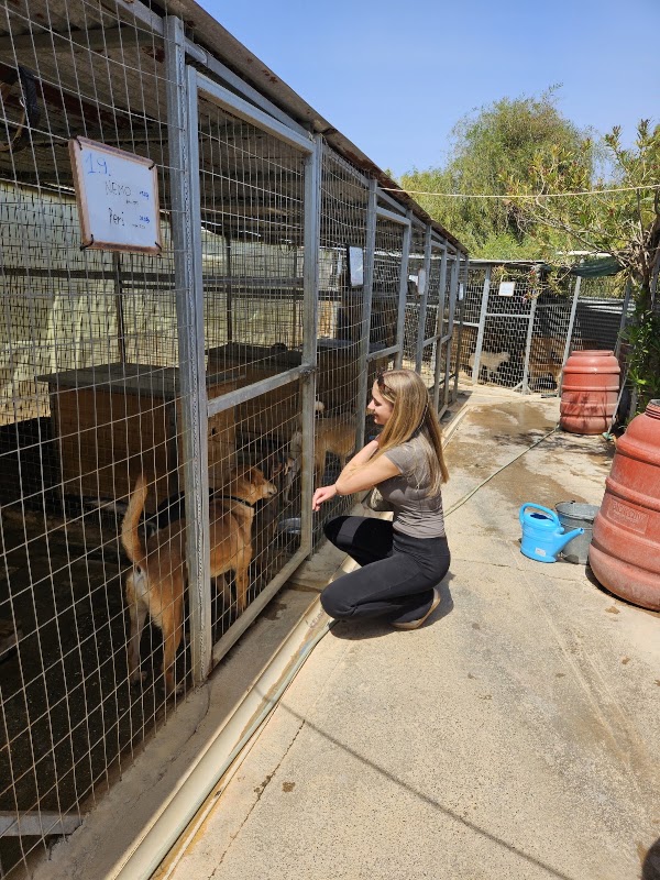 Gournes Animal Shelter 4