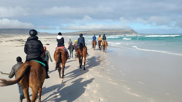 Noordhoek 4