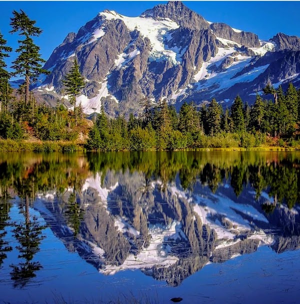 Mt. Baker Ski Area 4