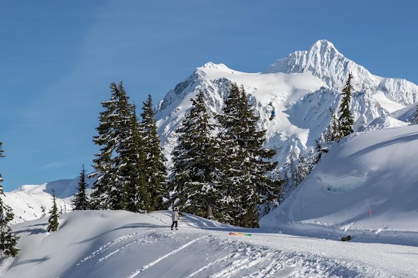 Mt. Baker Ski Area 3