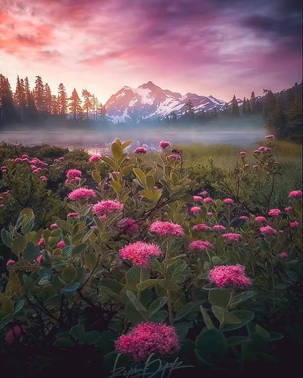 Mt. Baker Ski Area 2