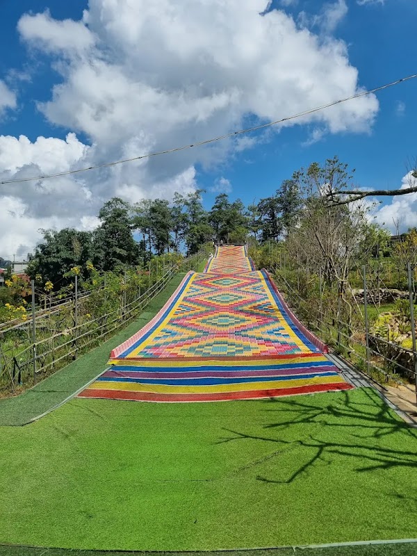Swing Sapa 4