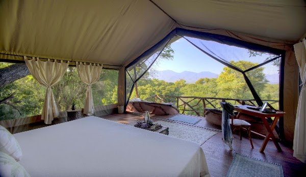 Sarara Treehouses 5