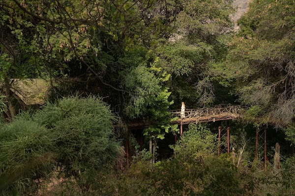 Sarara Treehouses 2