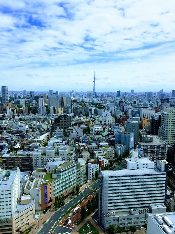 Japan 86