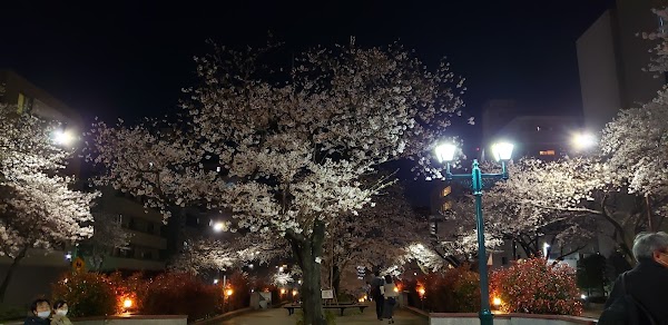 Bunkyo City 4