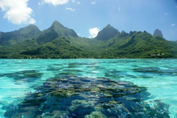 Mo'orea 3