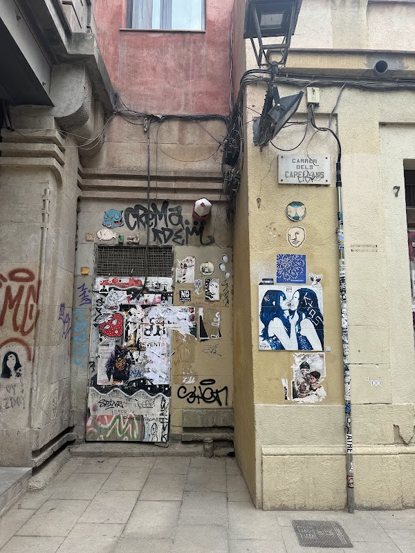 El món neix en cada besada 4