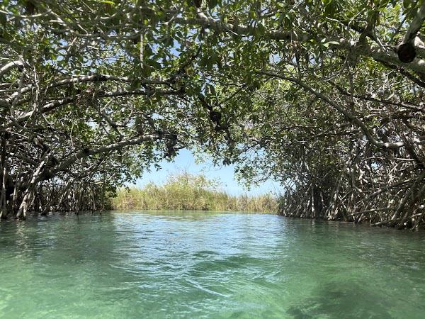 Laguna de Muyil