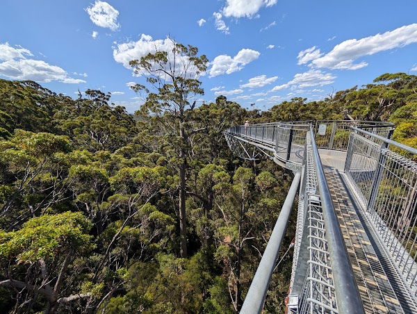 Walpole-Nornalup National Park 1