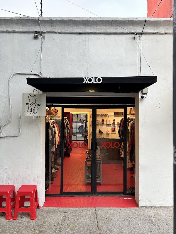 Xolo Vintage