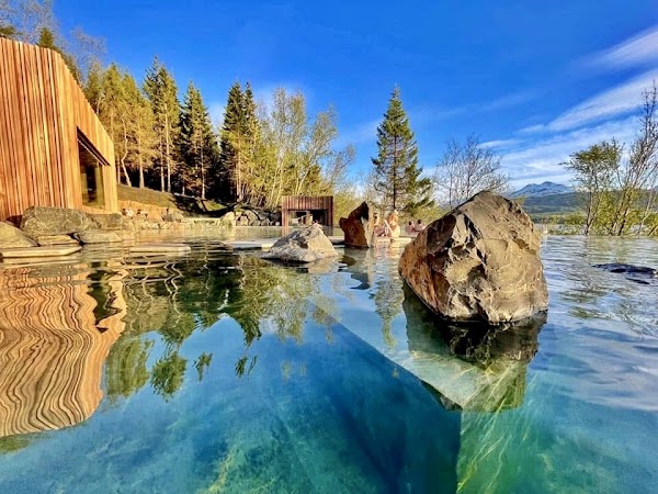 Forest Lagoon 5
