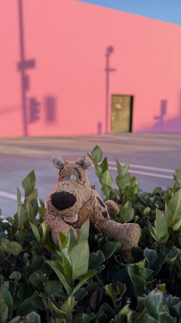 The Paul Smith Pink Wall 2