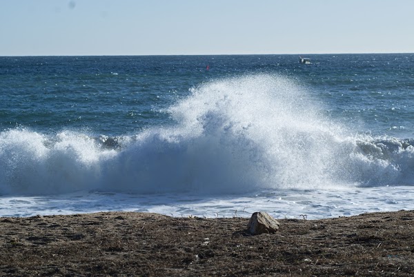 Platja Gran de Palamós 2