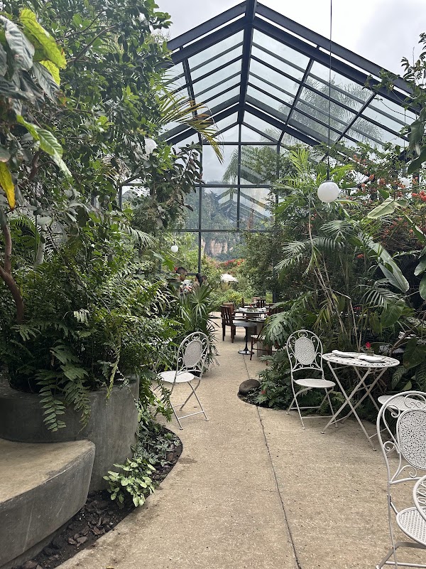 Margarita Concept Garden 3