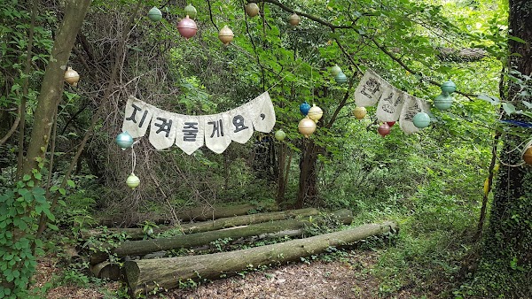 Hwansang Forest 5