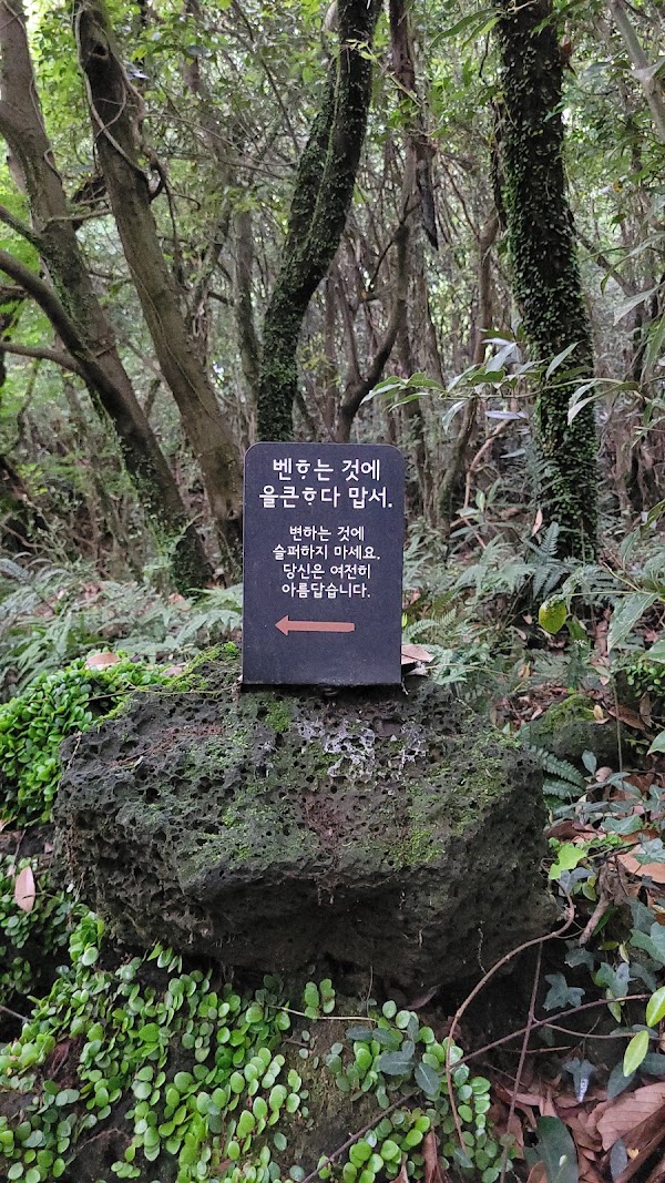 Hwansang Forest 3