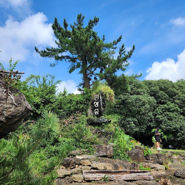 Hwansang Forest 2